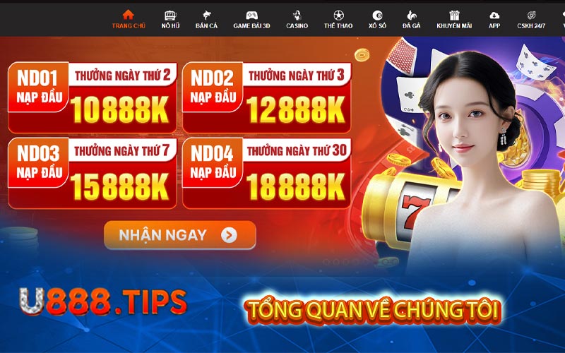 tong quan ve chung toi