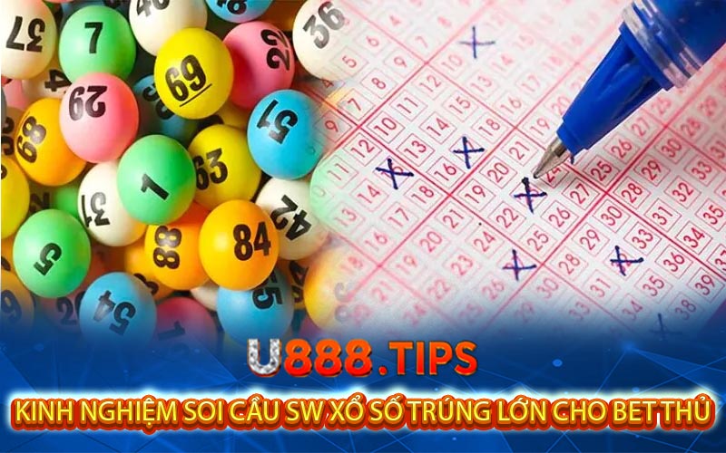 kinh nghiem soi cau sw xo so trung lon cho bet thu
