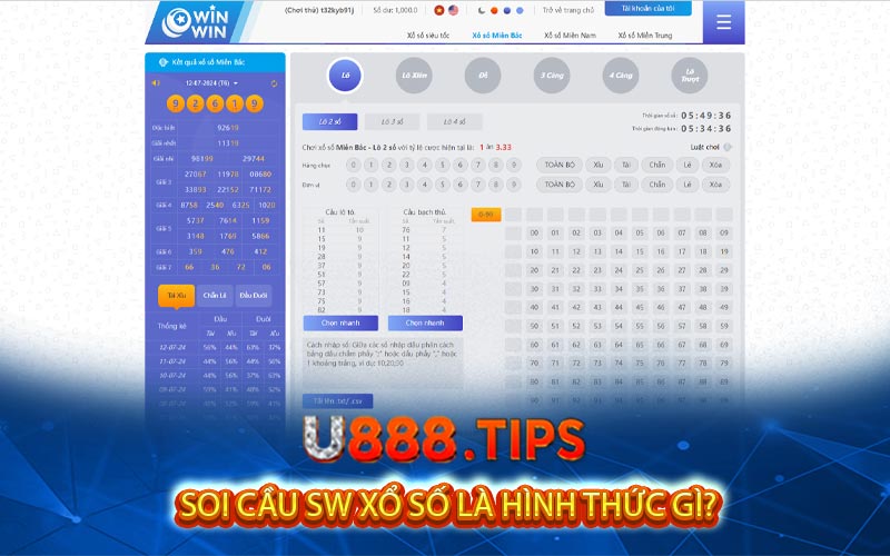 soi cau sw xo so la hinh thuc gi